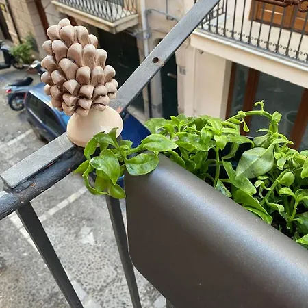 House Maranto Apartment Cefalu